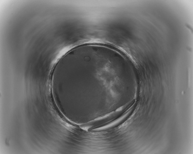 X0000095111367200712141142