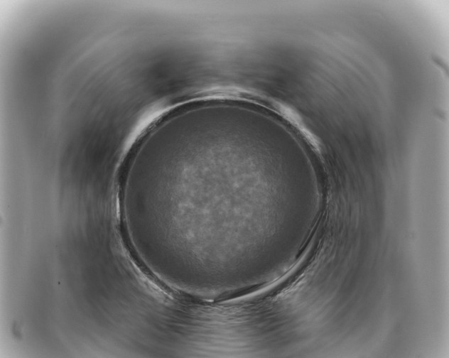 X0000095111368200712141142