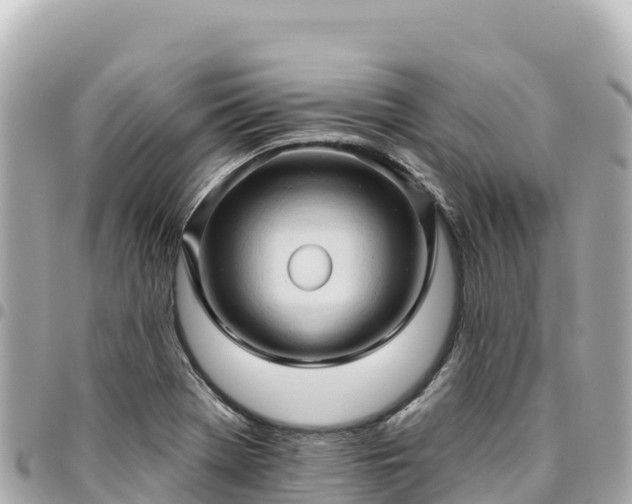 X0000095111369200712141142