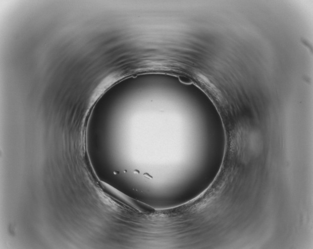 X0000095111370200712141142