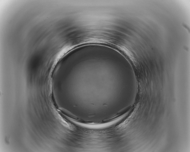 X0000095111371200712141142