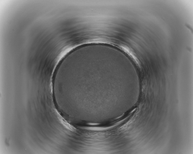 X0000095111372200712141142