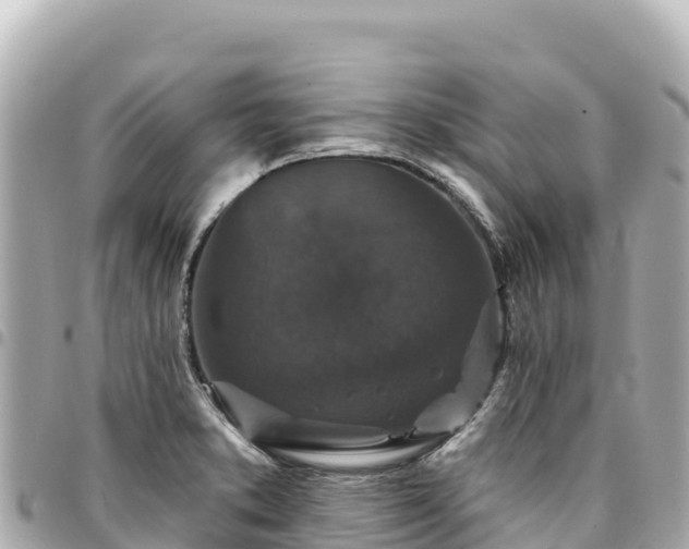 X0000095111373200712141142