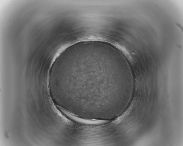 X0000095111374200712141142