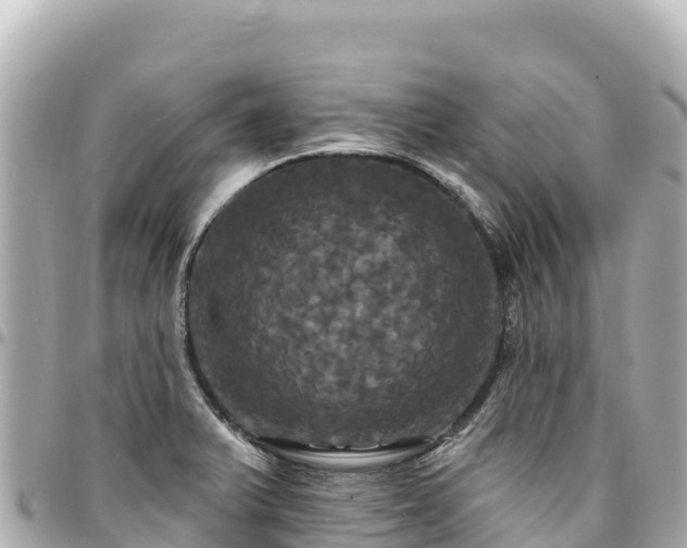 X0000095111375200712141142