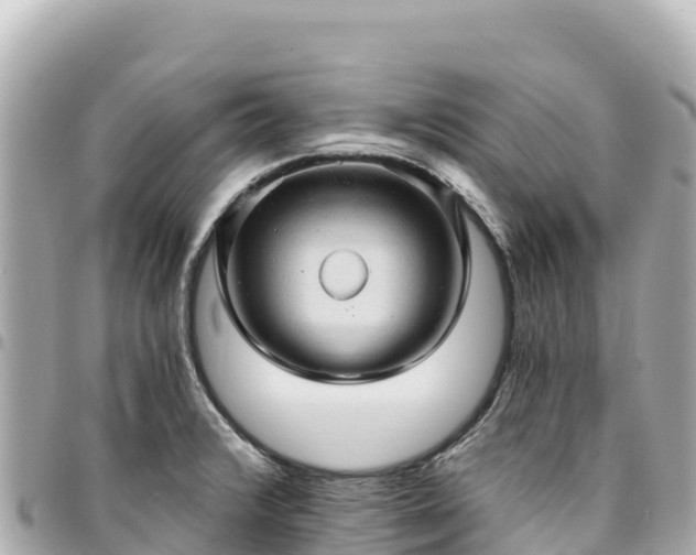 X0000095111376200712141142