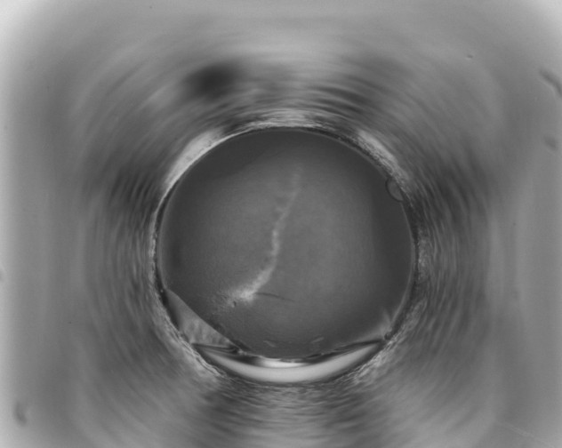 X0000095111378200712141142