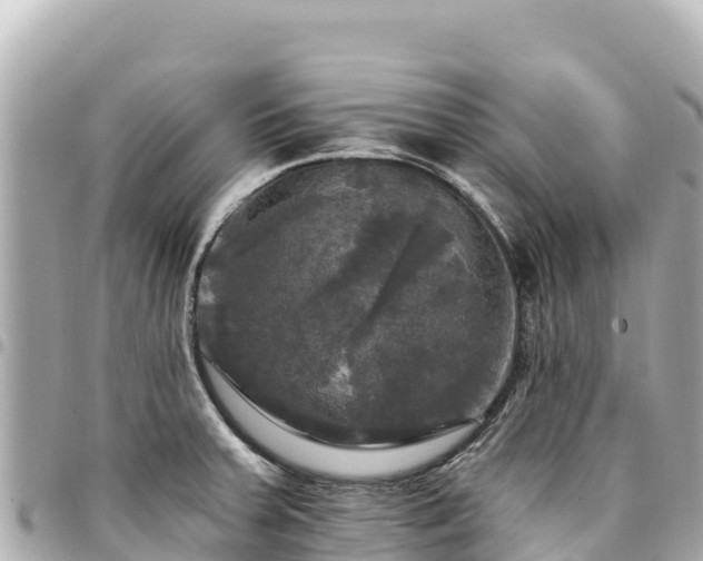 X0000095111379200712141142