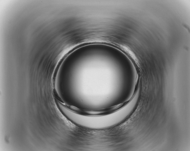 X0000095111380200712141142