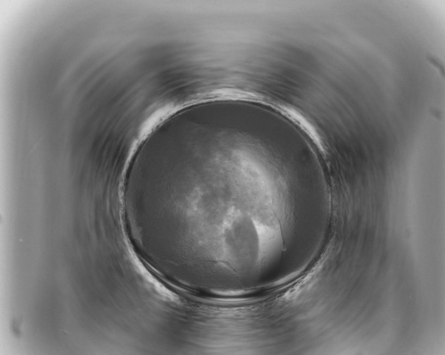 X0000095111381200712141142