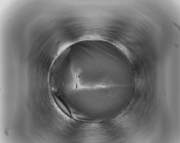 X0000095111382200712141142