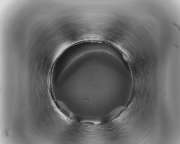 X0000095111383200712141142