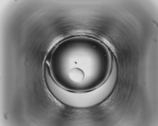 X0000095111384200712141142