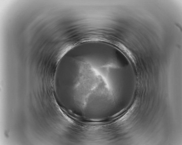 X0000095111385200712141142