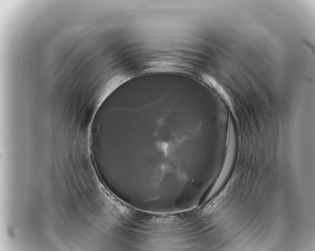 X0000095111386200712141142