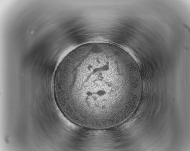 X0000095111387200712141142