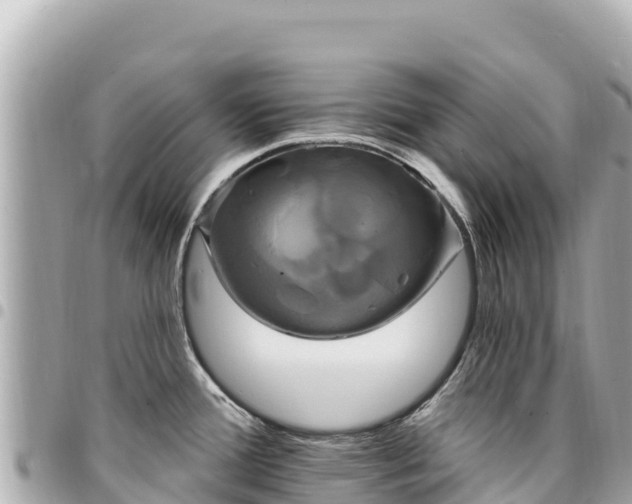 X0000095111388200712141142