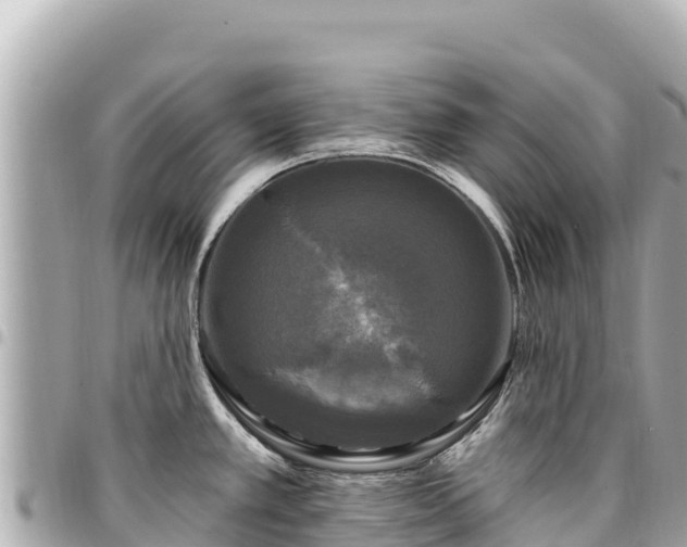 X0000095111389200712141142