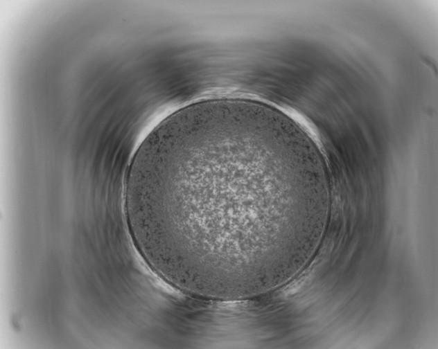 X0000095111390200712141142