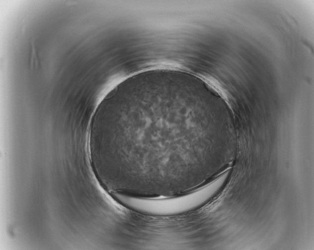 X0000095111391200712141142