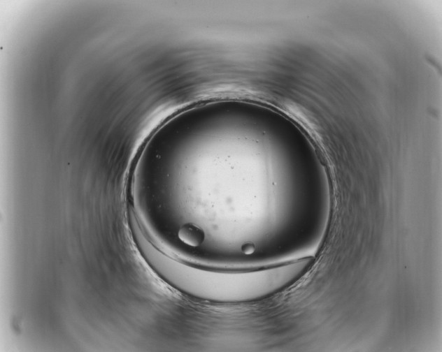 X0000095111392200712141142