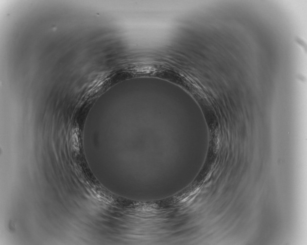 X0000095111394200712141141