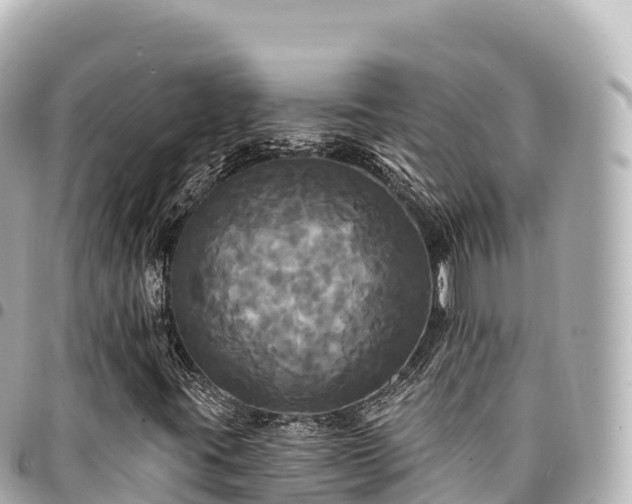 X0000095111395200712141141