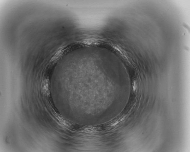 X0000095111396200712141141