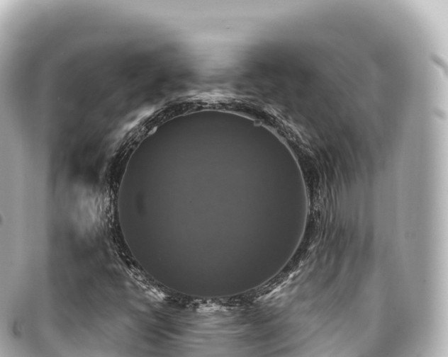 X0000095111398200712141141