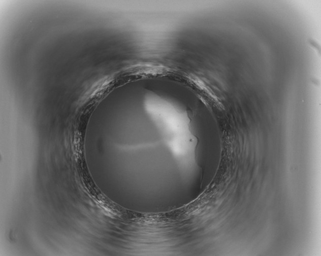 X0000095111399200712141141