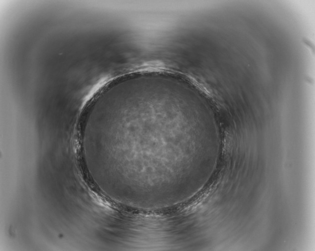 X0000095111400200712141141