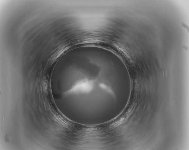 X0000095111401200712141141