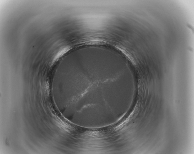 X0000095111402200712141141