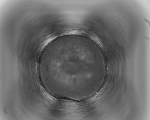 X0000095111404200712141141