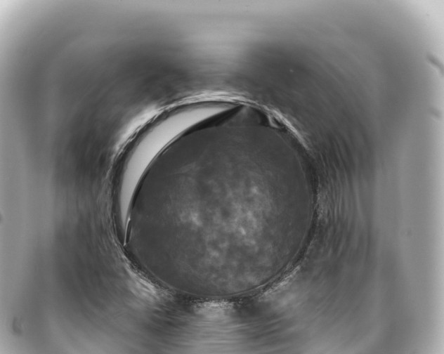 X0000095111406200712141141