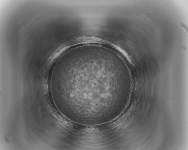 X0000095111407200712141141