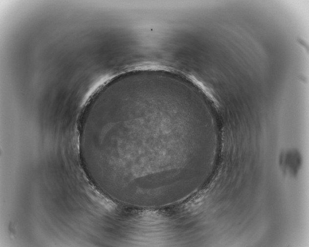 X0000095111408200712141141