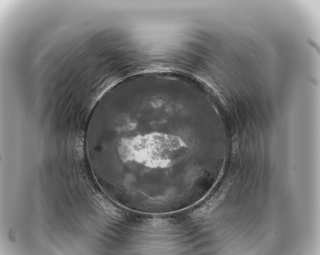 X0000095111409200712141141