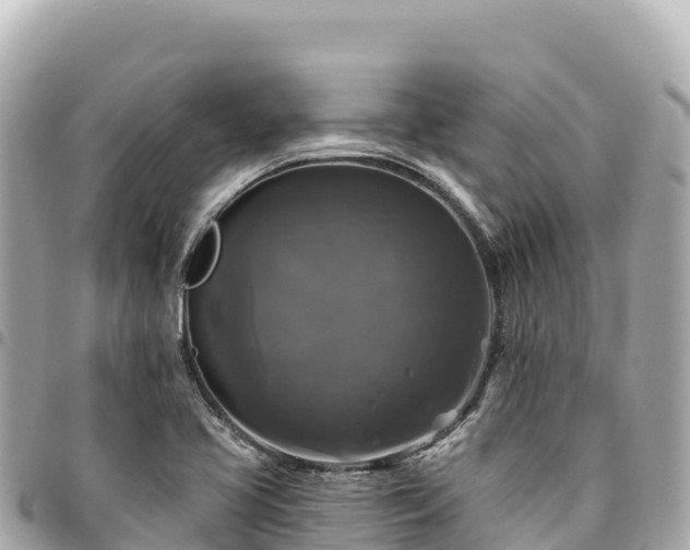 X0000095111413200712141141