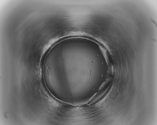 X0000095111414200712141141