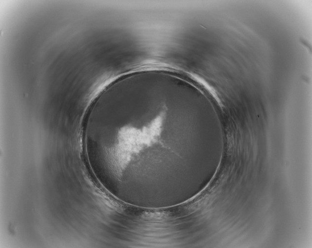 X0000095111415200712141141