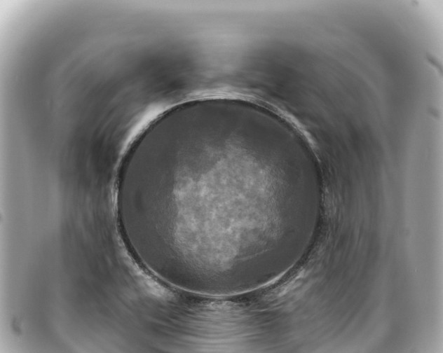 X0000095111416200712141141