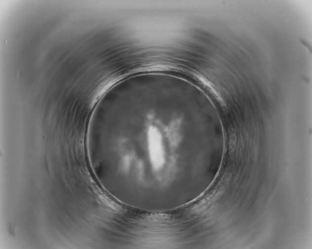 X0000095111417200712141142