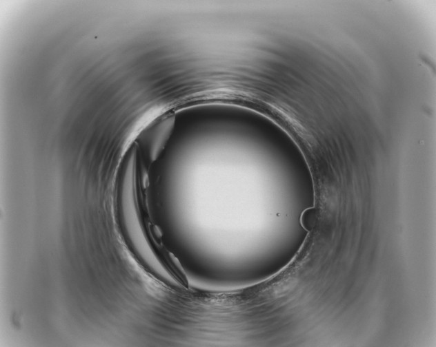 X0000095111418200712141142