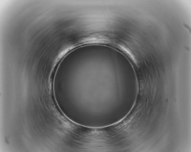 X0000095111419200712141142