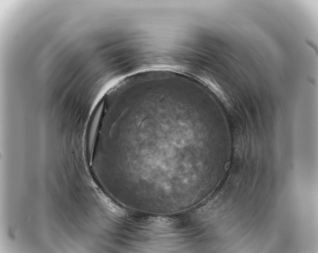 X0000095111420200712141142