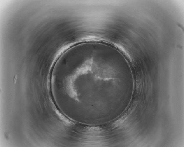 X0000095111421200712141142