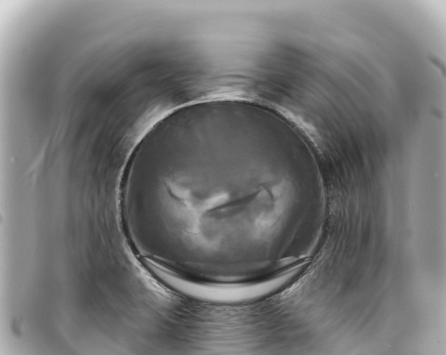 X0000095111423200712141142