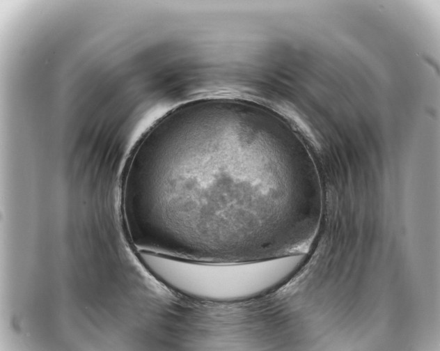 X0000095111424200712141142