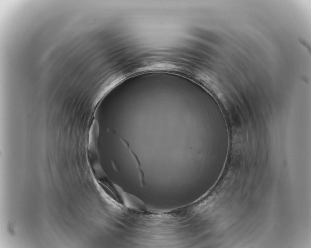 X0000095111425200712141142